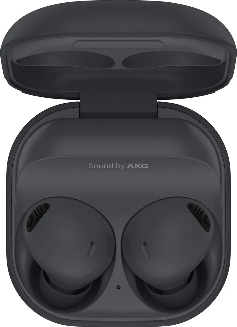 Galaxy Buds 2 Pro - Draadloze oordopjes met Noise Cancelling - Gray by Samsung in Grey – product photo