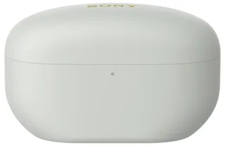WF-1000XM5 Zilver van Sony – productfoto 2 van 2