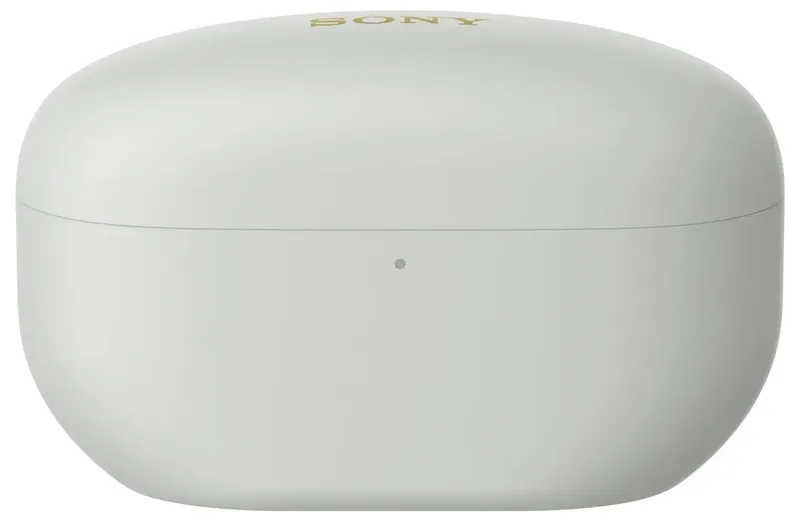 WF-1000XM5 Zilver van Sony – productfoto 2 van 2