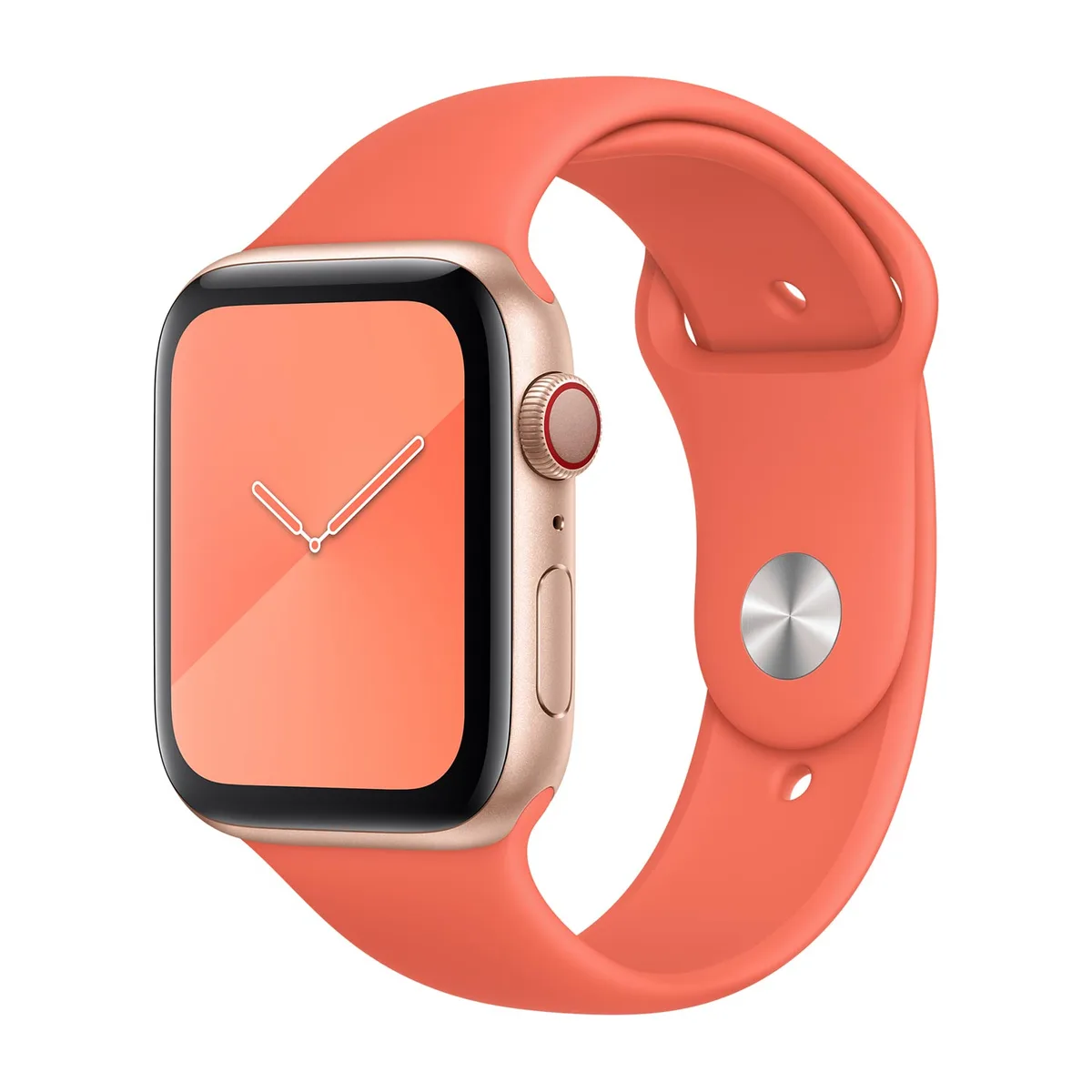 origineel Sport Band Apple Watch 38mm / 40mm / 41mm / 42mm Clementine - MWUT2ZM/A by Apple – product photo