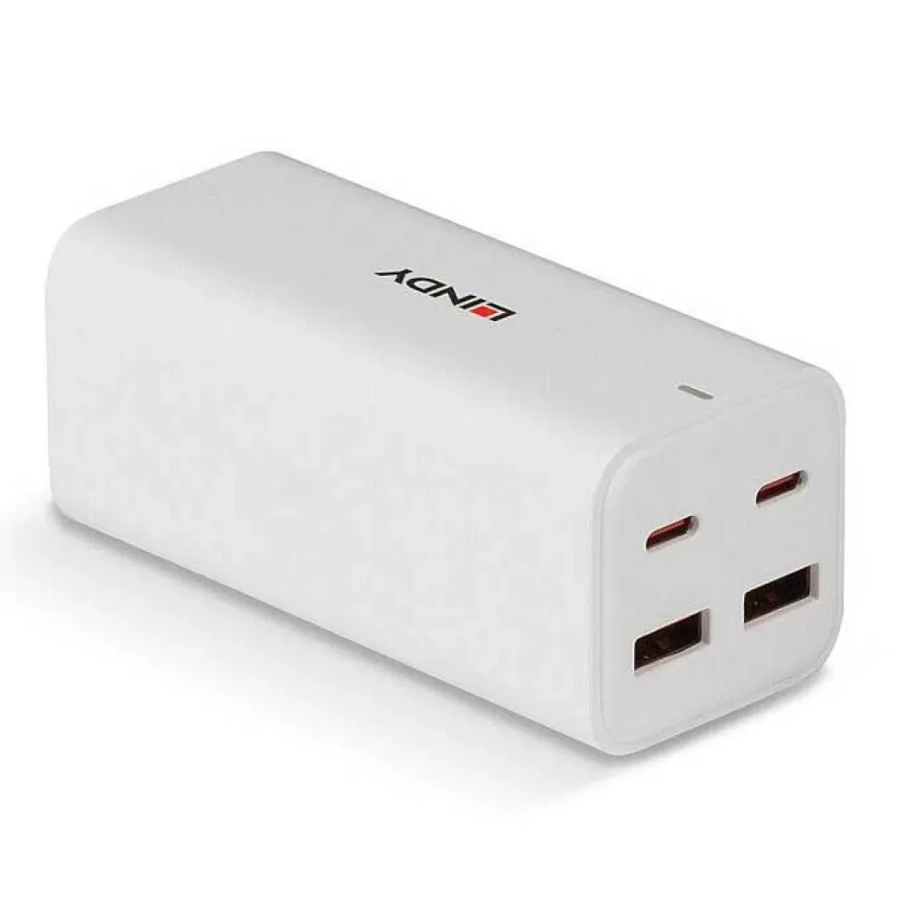 Gan Fast 100w Usb-wandlader van Lindy – productfoto