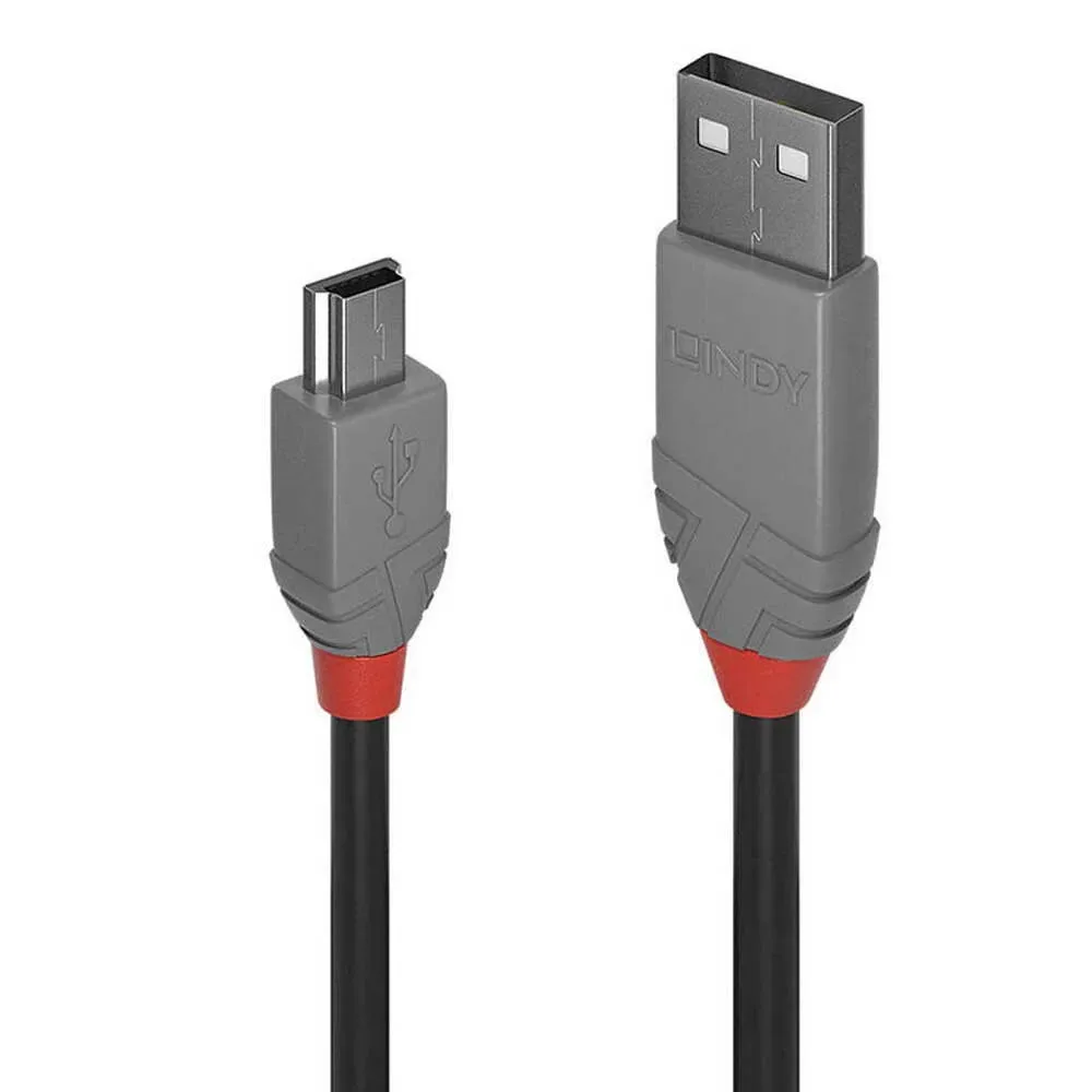 Usb-a Til Mini-usb-adapter 2 M fra Lindy – produktbillede