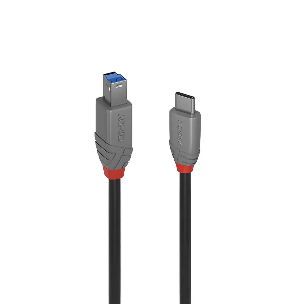 USB-kabel USB 3.2 Gen1 USB-C® stik, USB-B-hanstik 3.00 m 36668 von Lindy in Schwarz – Produktfoto
