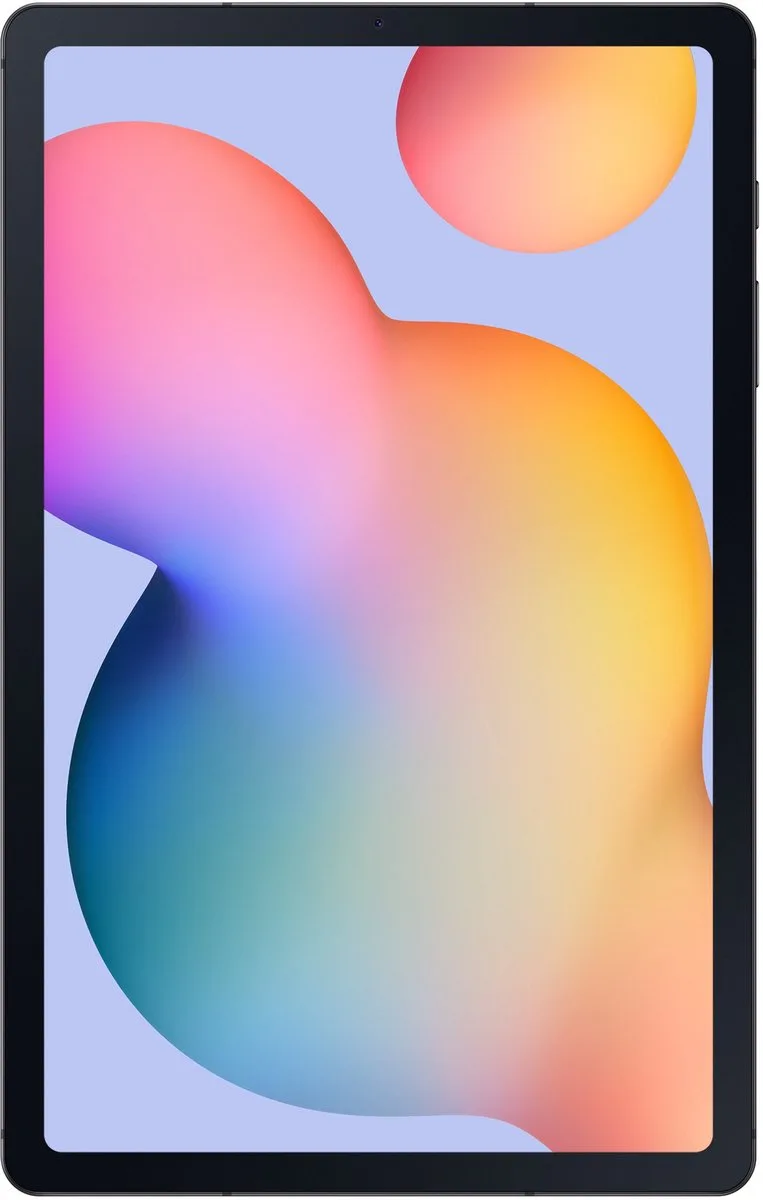 Galaxy Tab S6 Lite 10.4 2022 WiFi P613N 64GB Gray de Samsung en Gris – photo produit
